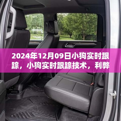 小狗实时跟踪技术，利弊分析与个人观点（日期，2024年12月09日）