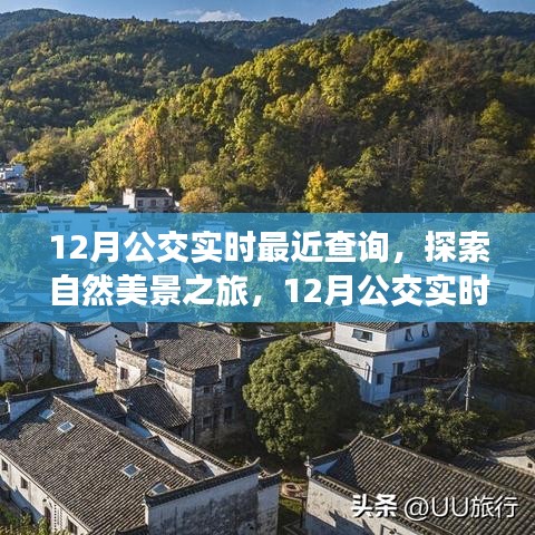 12月公交实时查询，带你踏上寻找内心平静的旅途，探索自然美景之旅