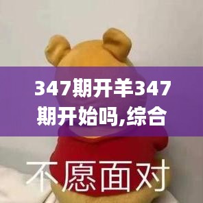 347期开羊347期开始吗,综合分析解释定义_户外版110.370