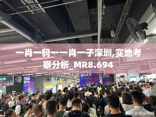 一肖一码一一肖一子深圳,实地考察分析_MR8.694