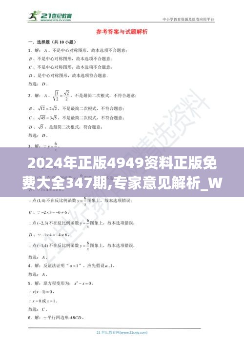 2024年正版4949资料正版免费大全347期,专家意见解析_WP1.527