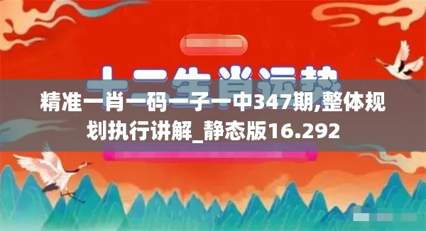 精准一肖一码一子一中347期,整体规划执行讲解_静态版16.292