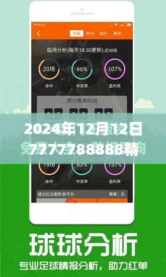 2024年12月12日7777788888精准新传真,稳定性策略解析_体验版7.803