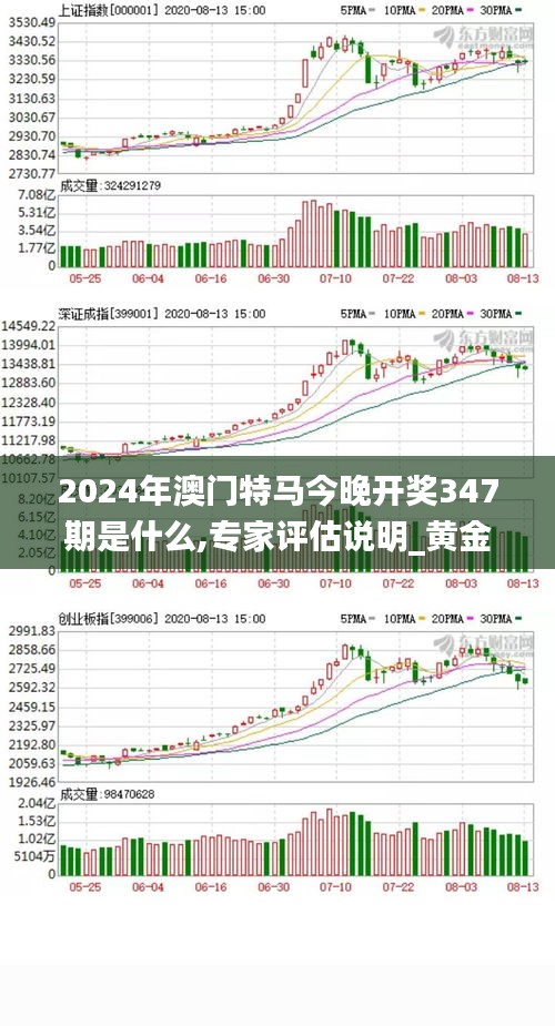 2024年澳门特马今晚开奖347期是什么,专家评估说明_黄金版3.812