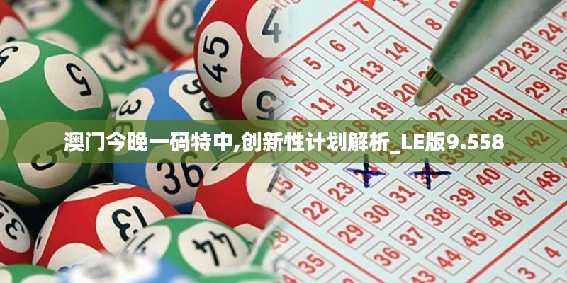 澳门今晚一码特中,创新性计划解析_LE版9.558