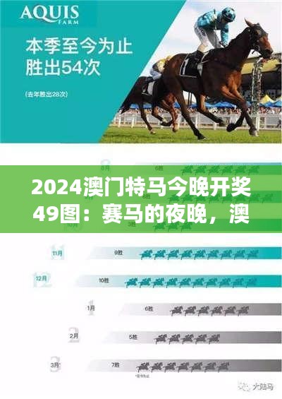 2024澳门特马今晚开奖49图：赛马的夜晚，澳门的热情邀约