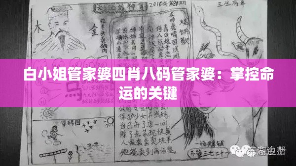 白小姐管家婆四肖八码管家婆：掌控命运的关键