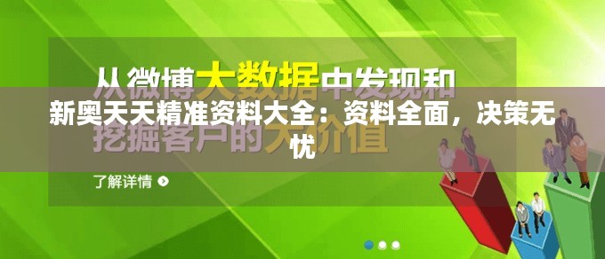 新奥天天精准资料大全：资料全面，决策无忧