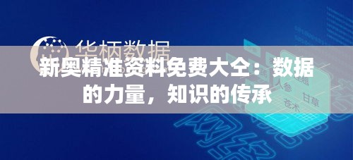 新奥精准资料免费大仝：数据的力量，知识的传承