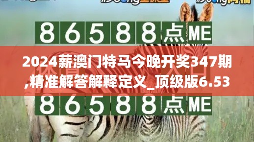 2024薪澳门特马今晚开奖347期,精准解答解释定义_顶级版6.535