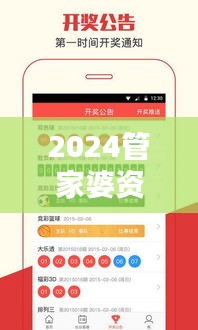 2024管家婆资料大全免费 - 打造您的个人财务计划