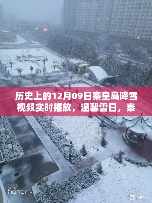 秦皇岛雪日奇遇，历史视角下的12月9日降雪实时视频回顾