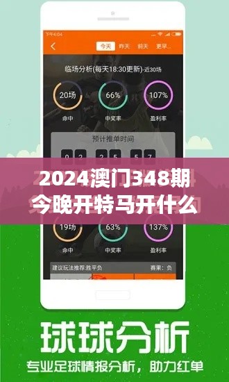 2024澳门348期今晚开特马开什么：分析澳门348期特马规律及投注策略