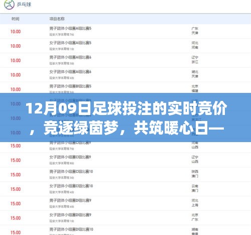 12月09日足球投注竞逐绿茵梦，欢乐时光开启，实时竞价共筑暖心日