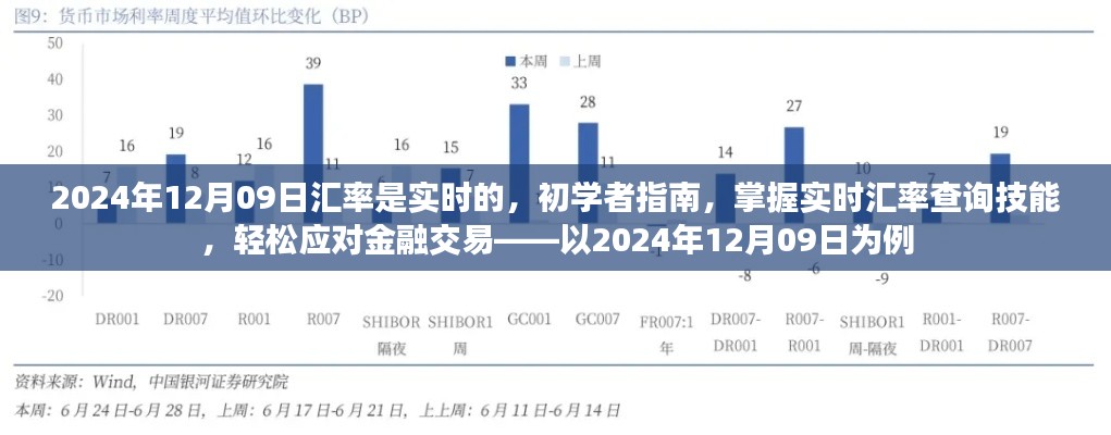 初学者指南，掌握实时汇率查询技能，轻松应对金融交易——以2024年12月09日汇率为例