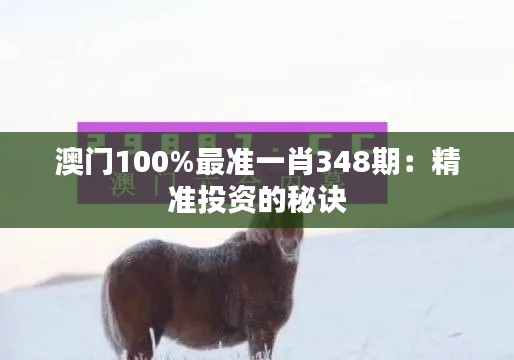 澳门100%最准一肖348期：精准投资的秘诀