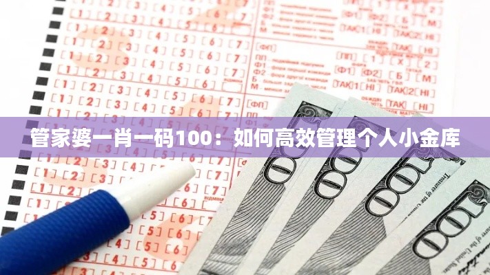 管家婆一肖一码100：如何高效管理个人小金库