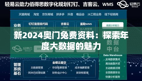 新2024奥门兔费资料：探索年度大数据的魅力