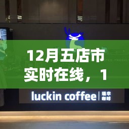 12月五店市实时在线操作指南，完成任务步步为营