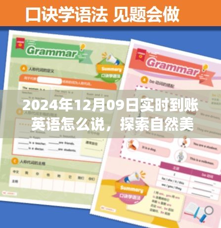 实时到账后的自然美景探索之旅，启程于2024年12月9日