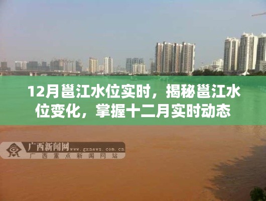 揭秘邕江水位变化，十二月实时动态监测报告