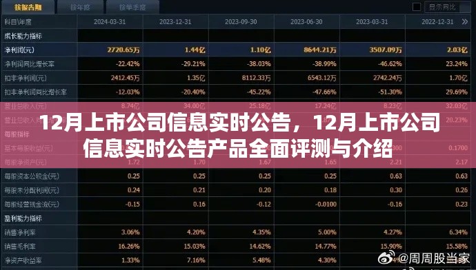 12月上市公司信息实时公告产品全面评测与介绍概览