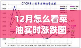 12月菜油市场走势分析与实时涨跌图表解读