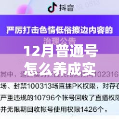 12月内将普通号养成实时号的完全指南