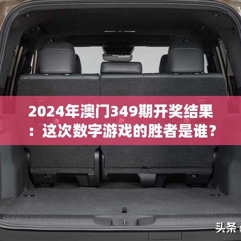 2024年澳门349期开奖结果：这次数字游戏的胜者是谁？