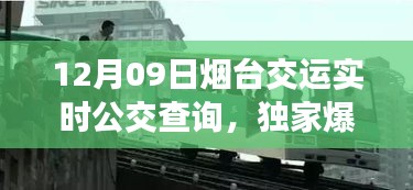 独家揭秘，烟台交运实时公交查询指南，最新动态更新！