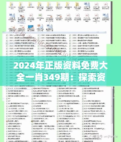 2024年正版资料免费大全一肖349期：探索资料免费化的可持续发展模式