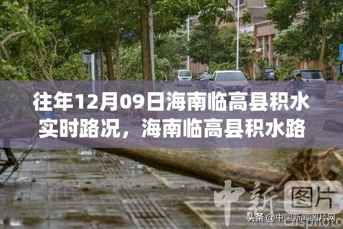 海南临高县积水智能监测与预警系统，重塑城市出行体验实时路况播报