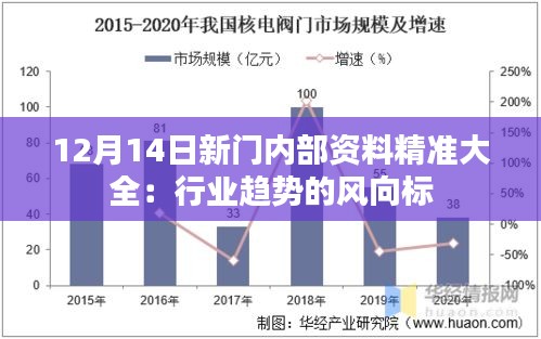 12月14日新门内部资料精准大全：行业趋势的风向标