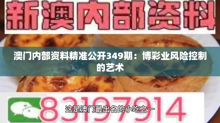 澳门内部资料精准公开349期：博彩业风险控制的艺术