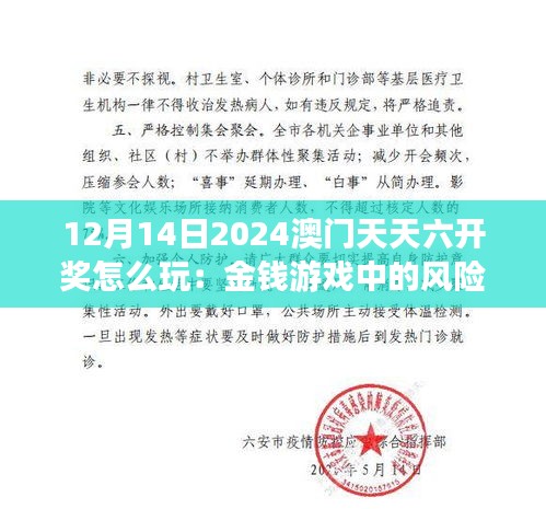 12月14日2024澳门天天六开奖怎么玩：金钱游戏中的风险管理