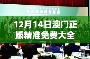 12月14日澳门正版精准免费大全：澳门表演艺术的免费享受