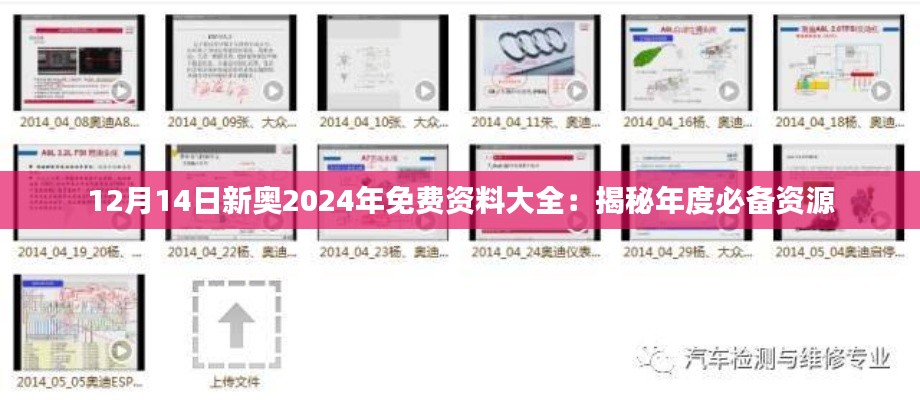 12月14日新奥2024年免费资料大全：揭秘年度必备资源