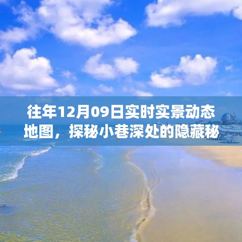 探秘小巷秘境，实时动态地图带你领略特色小店之旅，往年12月09日实拍纪实