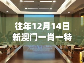 往年12月14日新澳门一肖一特一中：澳门社会的多元化展示