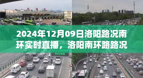 2024年12月9日洛阳南环路路况实时直播，解读路况与驾驶体验