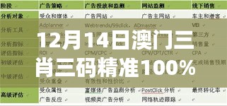 12月14日澳门三肖三码精准100%黄大仙：吉祥数字的力量