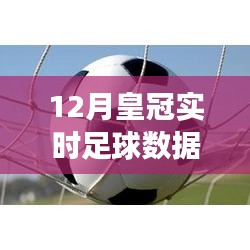 12月皇冠实时足球数据更新，变革中的学习与进步的自信与成就感