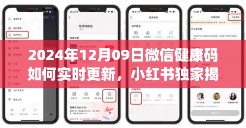 小红书独家揭秘，微信健康码实时更新攻略，掌握健康状态新技巧！