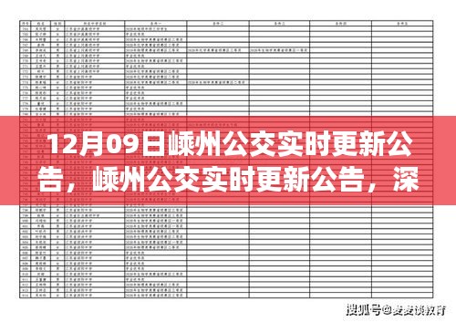 嵊州公交实时更新公告，深度评测与使用指南（最新发布日期，12月09日）