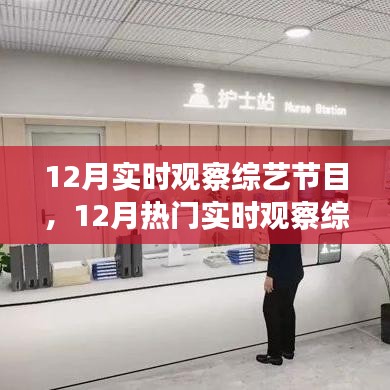 12月热门实时观察综艺节目深度解析与观察