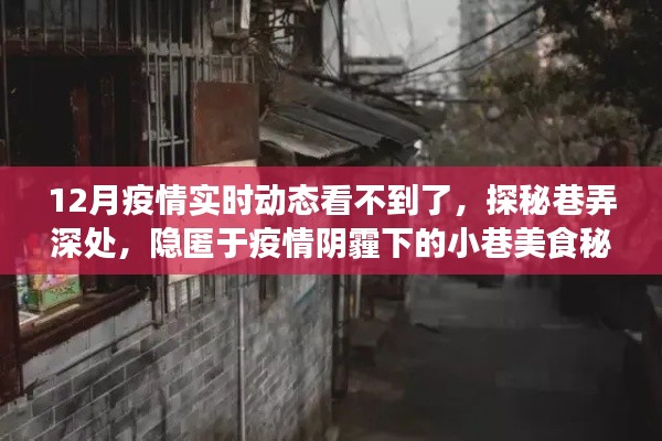 疫情阴霾下的小巷美食秘境探秘，隐匿于巷弄深处的十二月美食之旅