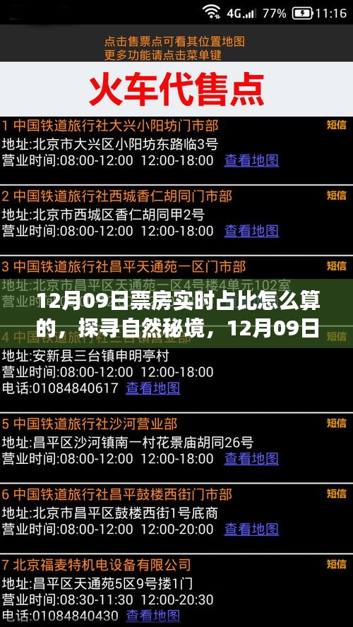 探寻自然秘境，揭秘12月09日票房背后的旅行故事与心灵之旅的宁静之美