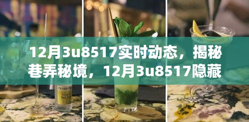 揭秘巷弄秘境，12月3u8517隐藏特色小店的实时动态探索