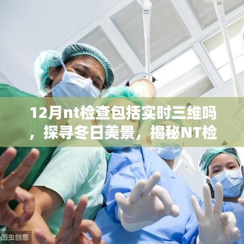 冬日探寻美景与NT检查之旅，实时三维之旅揭秘与内心宁静的启程