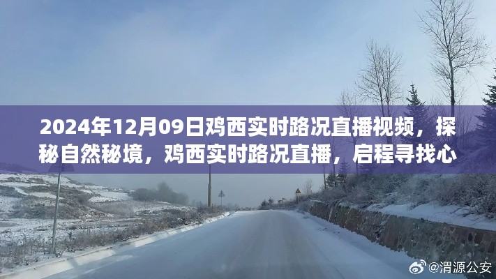 启程心灵之旅，鸡西实时路况直播探秘自然秘境之旅